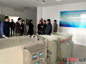 福建國(guó)資公司主動(dòng)作為探新路 困難國(guó)企如何通過技術(shù)開發(fā)實(shí)現(xiàn)戰(zhàn)略重組