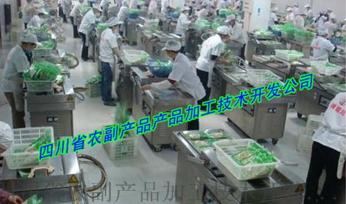 大頭菜生產(chǎn)設(shè)備技術(shù)開發(fā) 邁向現(xiàn)代化與便捷化