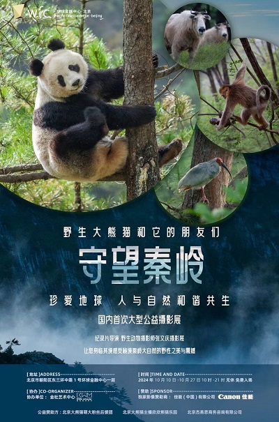 “守望秦嶺 野生大熊貓和它的朋友們”大型公益攝影展聚焦環(huán)境保護(hù)與生物多樣性監(jiān)測(cè)